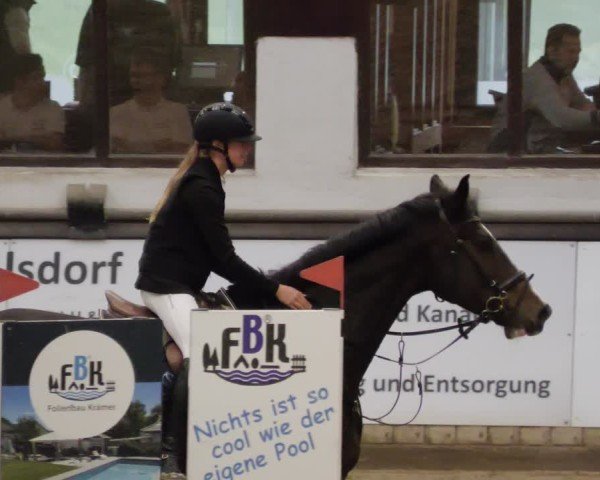 Reitturnier Neuwied 2024