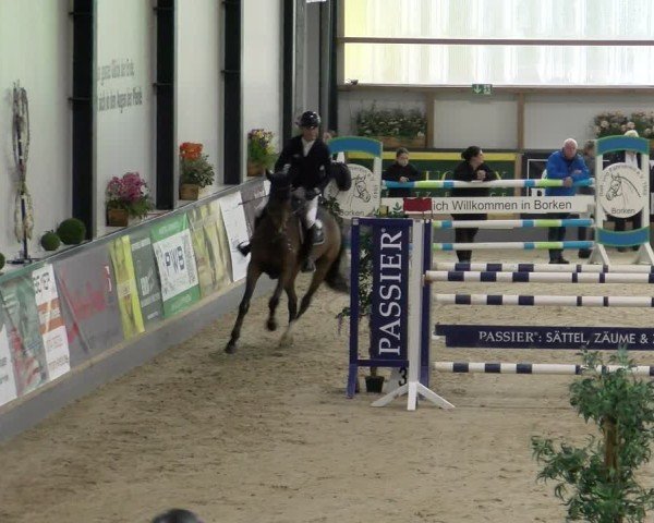 Reitturnier Borken 2024
