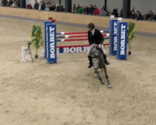 Reitturnier Borken 2024