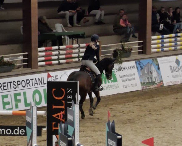 Reitturnier Neuwied 2024