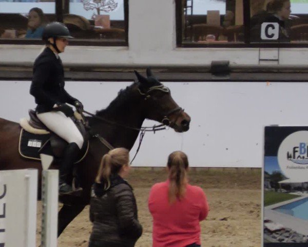 Reitturnier Neuwied 2024