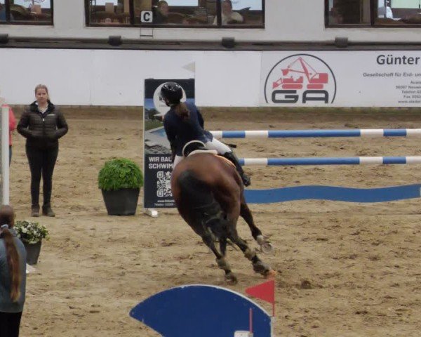Reitturnier Neuwied 2024