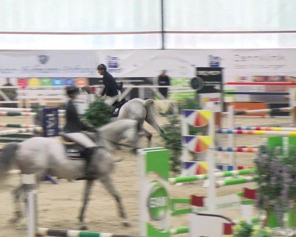 Reitturnier Borken 2024