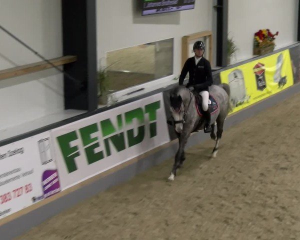 Reitturnier Borken 2024