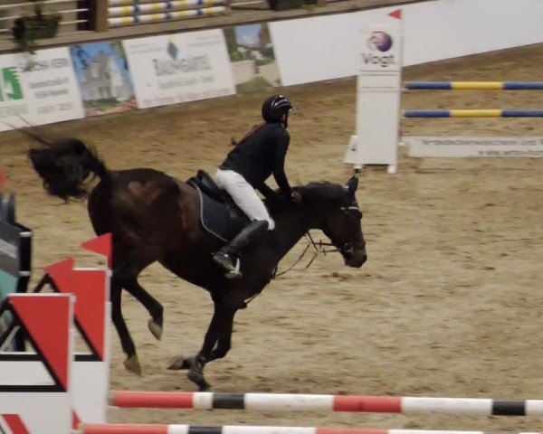 Reitturnier Neuwied 2024