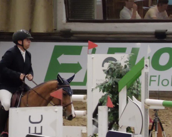 Reitturnier Neuwied 2024