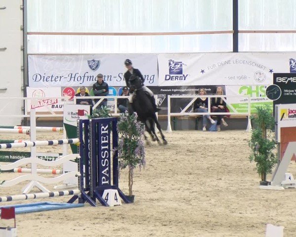 Reitturnier Borken 2024