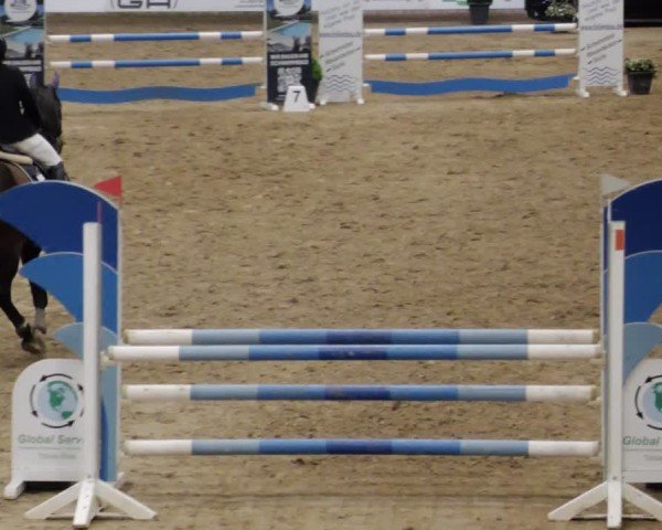 Reitturnier Neuwied 2024