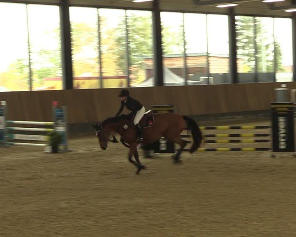 Reitturnier Zwickau 2024