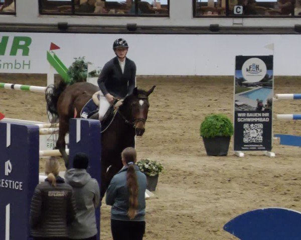 Reitturnier Neuwied 2024