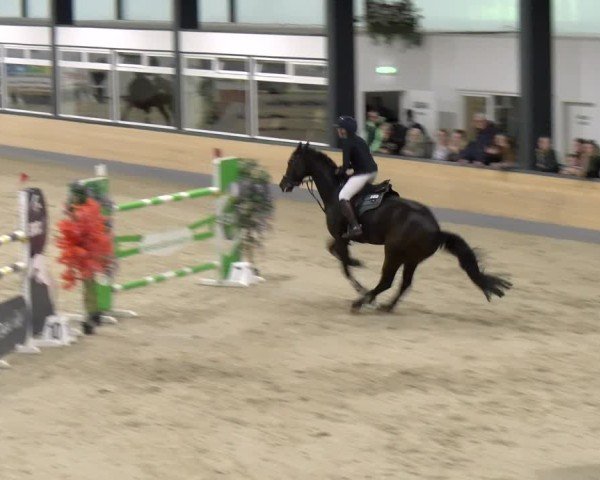 Reitturnier Borken 2024