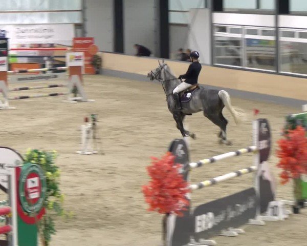 Reitturnier Borken 2024