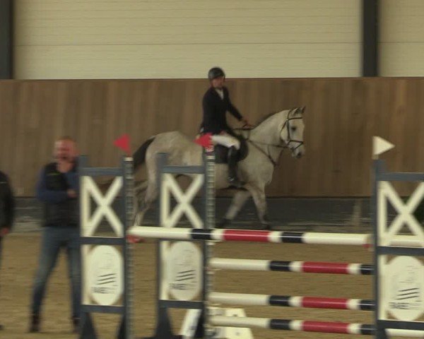 Reitturnier Zwickau 2024