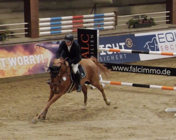 Reitturnier Neuwied 2024