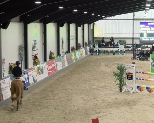 Reitturnier Borken 2024