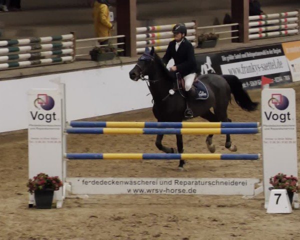 Reitturnier Neuwied 2024