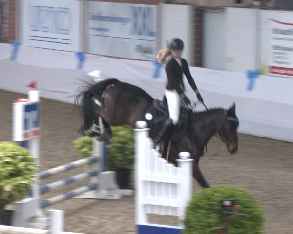 Reitturnier Gronau 2024