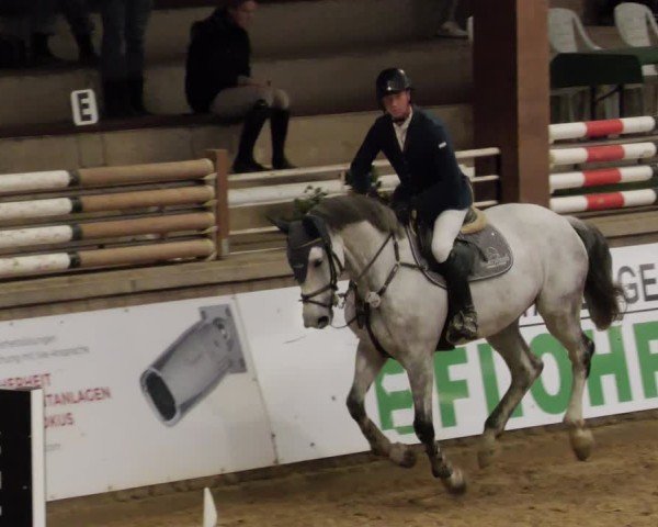 Reitturnier Neuwied 2024