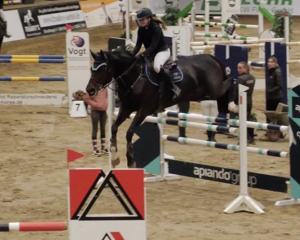 Reitturnier Neuwied 2024