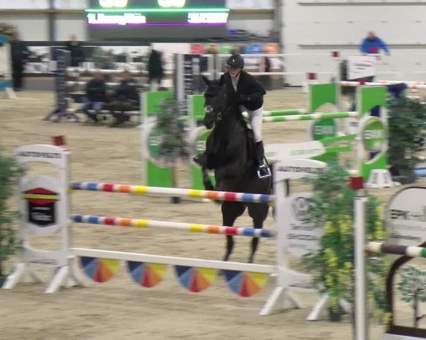 Reitturnier Borken 2024