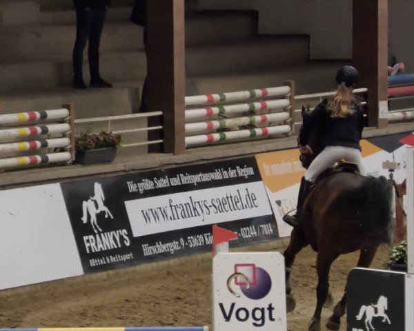 Reitturnier Neuwied 2024