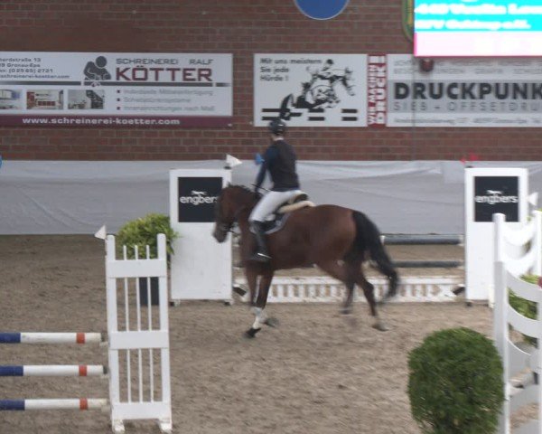 Reitturnier Gronau 2024