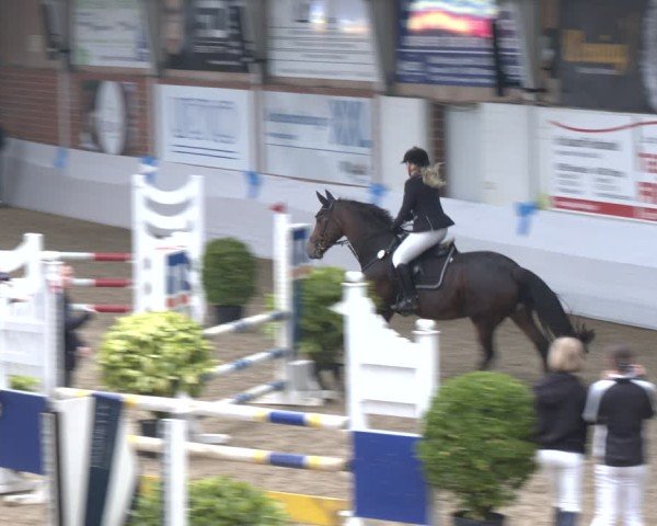 Reitturnier Gronau 2024