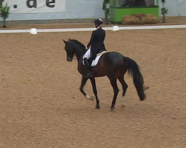 Reitturnier Kreuth/Opf. 2021