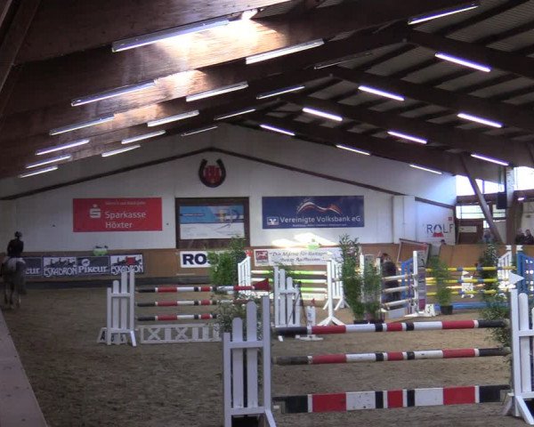 Reitturnier Steinheim 2021