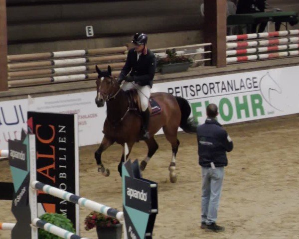 Reitturnier Neuwied 2024