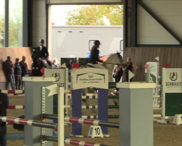 Reitturnier Zwickau 2024