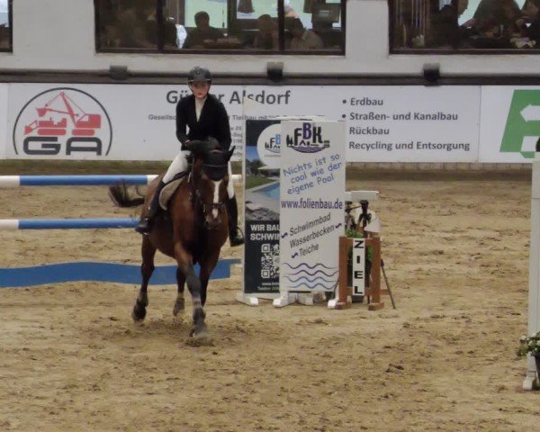 Reitturnier Neuwied 2024