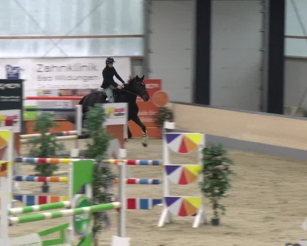 Reitturnier Borken 2024