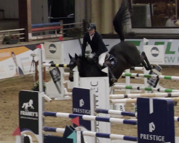 Reitturnier Neuwied 2024