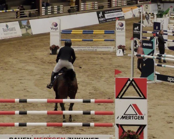 Reitturnier Neuwied 2024