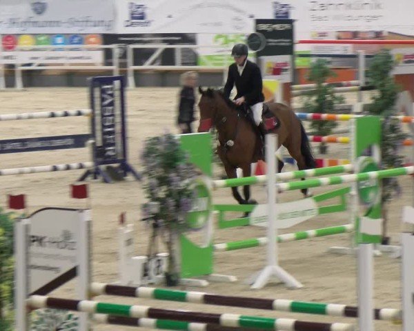 Reitturnier Borken 2024