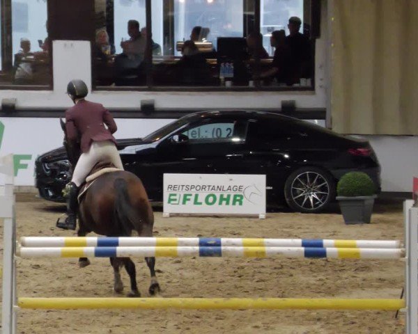 Reitturnier Neuwied 2024