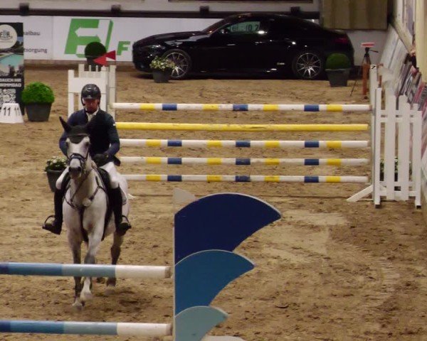 Reitturnier Neuwied 2024