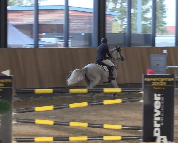 Reitturnier Zwickau 2024