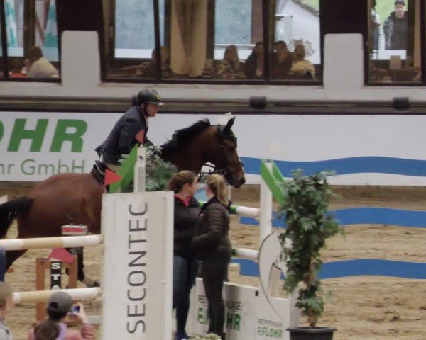 Reitturnier Neuwied 2024