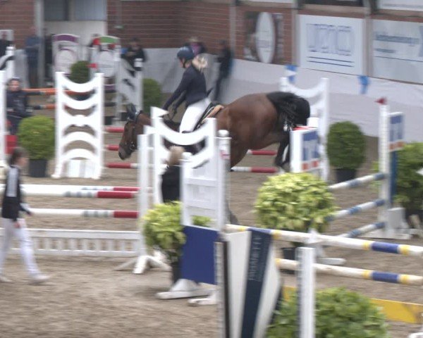 Reitturnier Gronau 2024