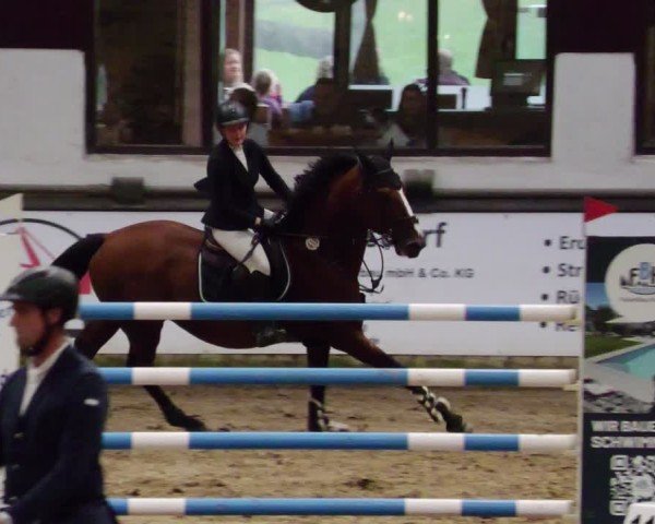 Reitturnier Neuwied 2024