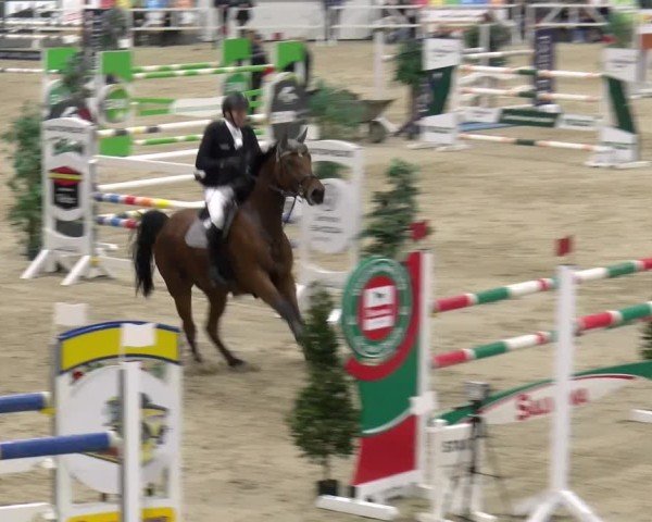Reitturnier Borken 2024