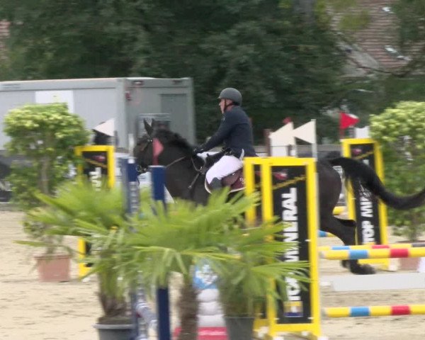 Pferdesporttage Neuendorf SO 2021