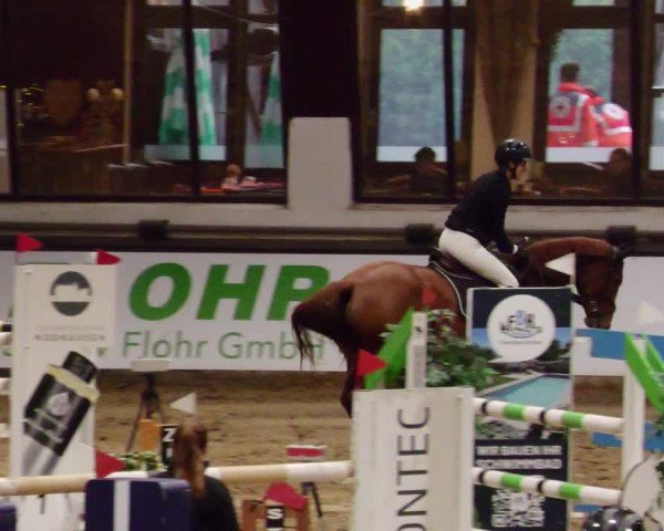 Reitturnier Neuwied 2024