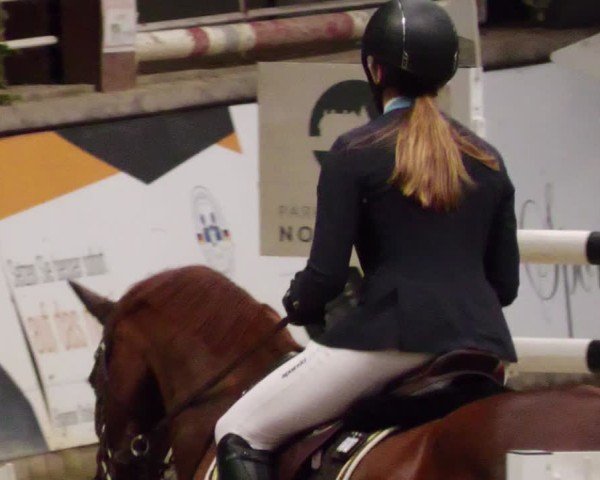 Reitturnier Neuwied 2024
