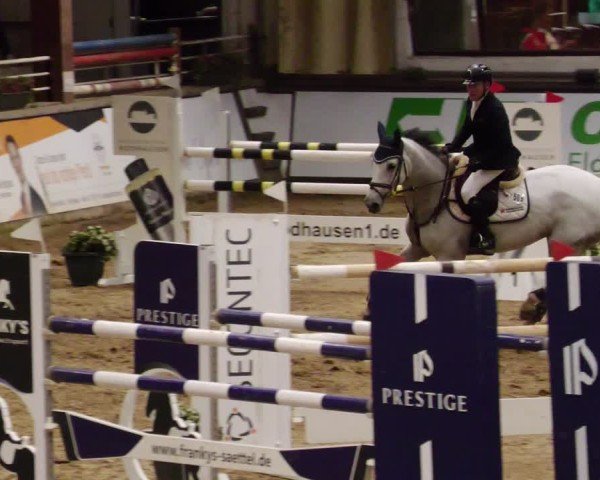 Reitturnier Neuwied 2024