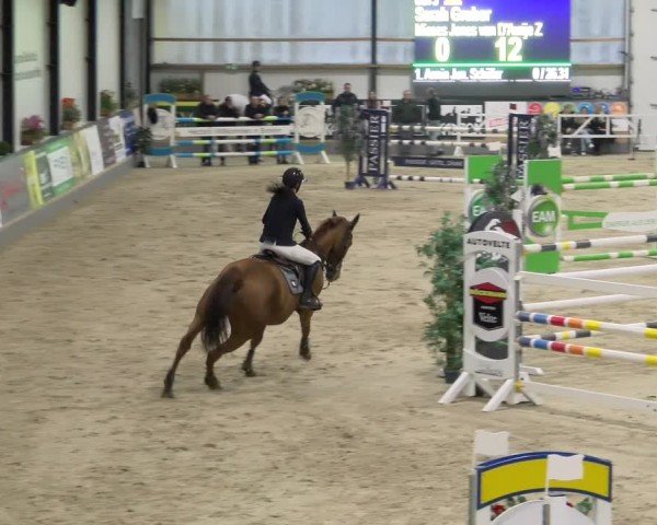 Reitturnier Borken 2024