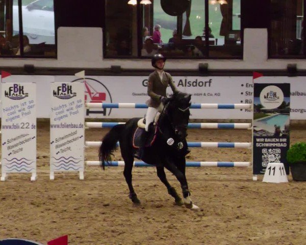 Reitturnier Neuwied 2024