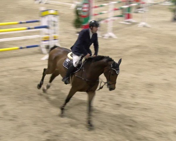 Reitturnier Borken 2024